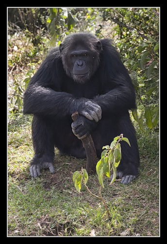 Евгений Кузяев