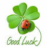 Светлана *****