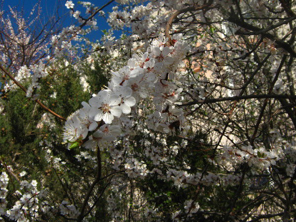 Мария Молокова