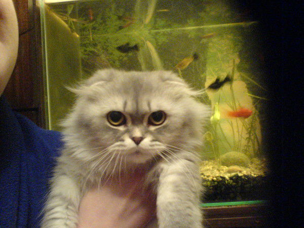 Марина Петрова