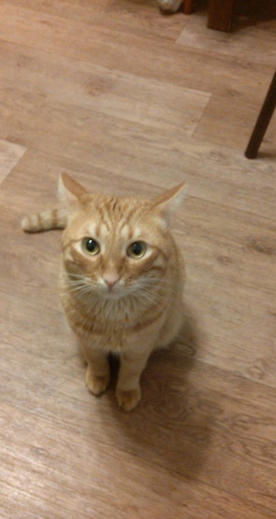 Тимур Фаттахов