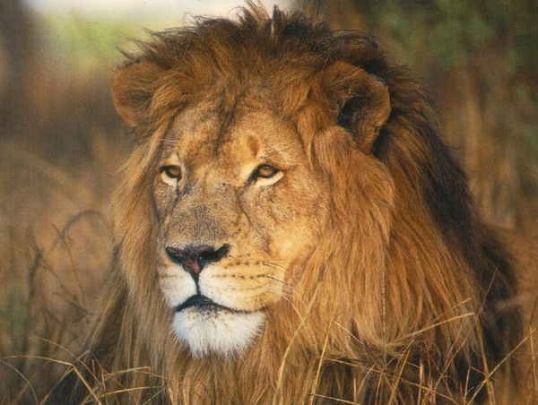 Еркеулан Ахметов