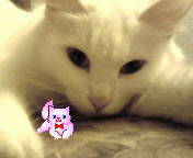 Айнура Еркибаева