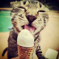 Иришка Пынтя