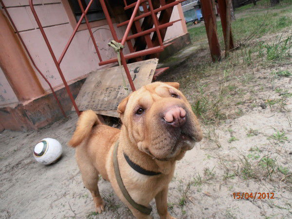 Марина Кинаш