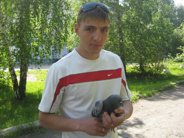 Александр Новокшанов