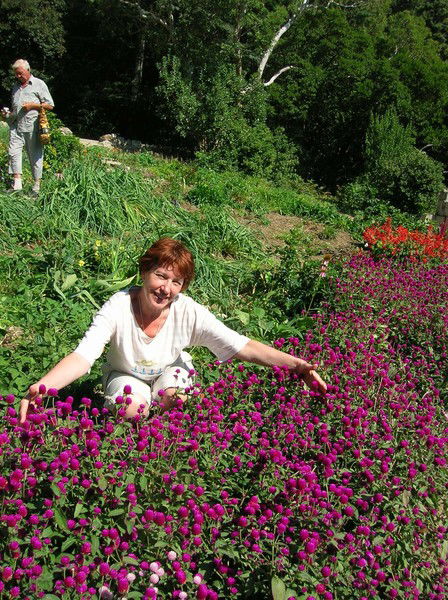 Алексей Анисимов