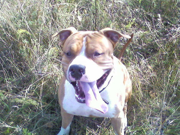 Анатолий Смирнов