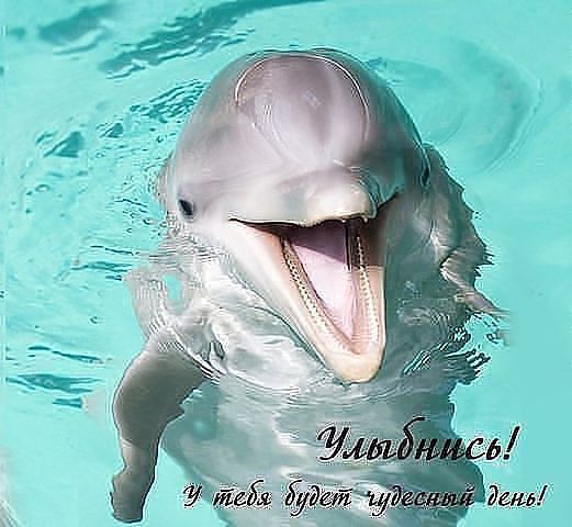 Любовь Серова