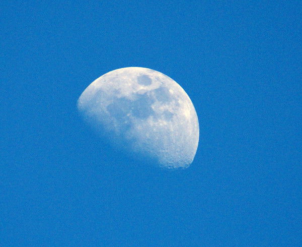 Нина Трифанова