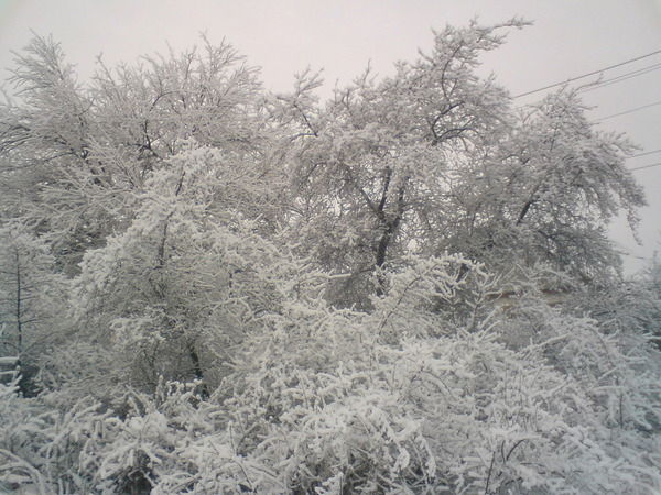 Сергей Сычёв