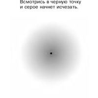 Марк Веремеенко