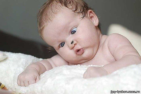 Стас Дайнабаш