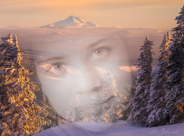 Марина Светоносова