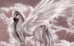 Настёна [Vip]