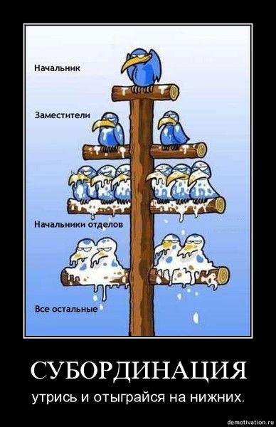 Евгений Зинчук