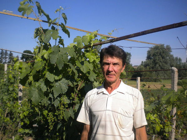 Евгений Греник