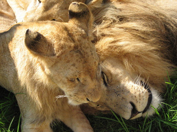 Лилия Хасанова