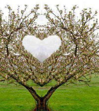 Юнона Славина