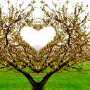 Юнона Славина