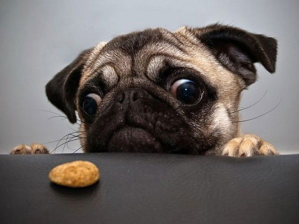 Наталья Земель