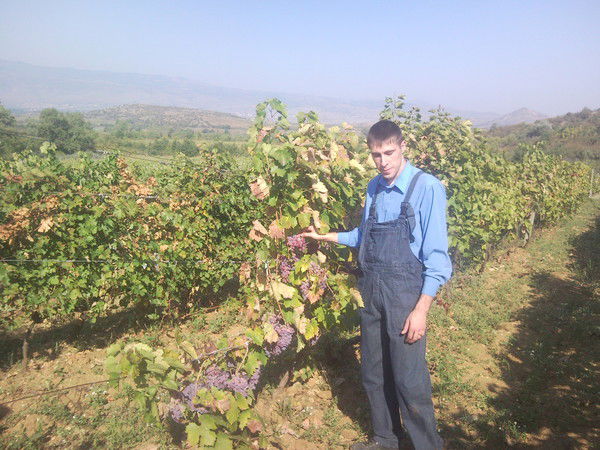 Янис Котрулев