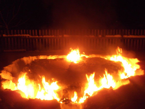 Светлана И Роман Елпашевы