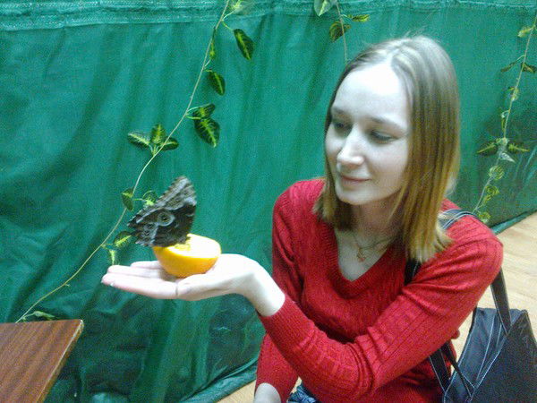 Елена Сушкова