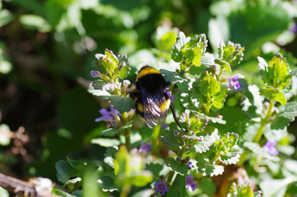 Татьяна Гузнякова