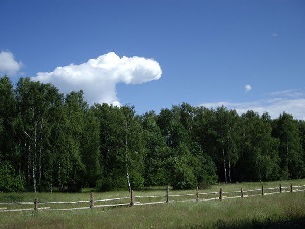 Андрей Мельников