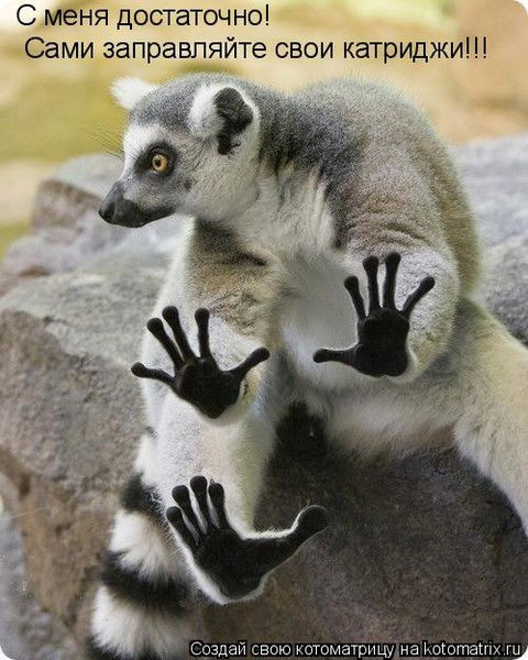 Мария Шакун