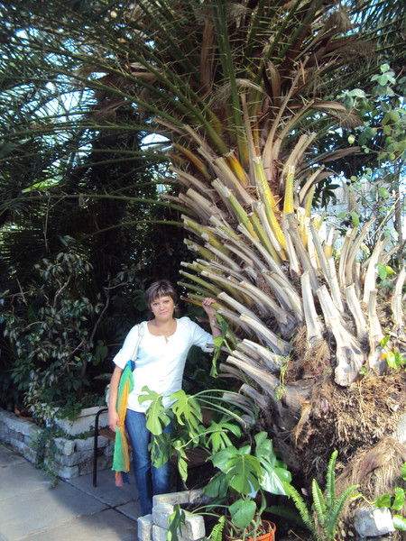 Лена Кустовская