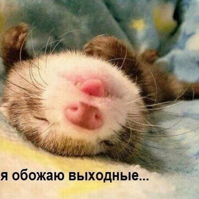 Андрей Коротков