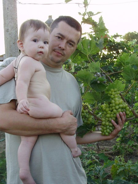 Денис Теплухин