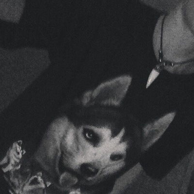 Арсений Рудковский