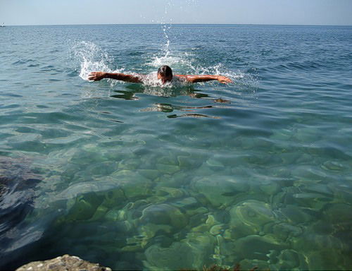 Дмитрий Мишин