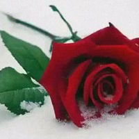 Карина Максакова