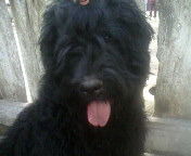 Елена Рябова