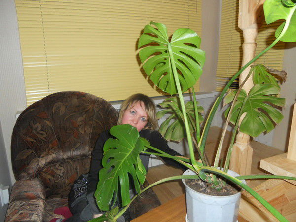 Наташа Поспелова