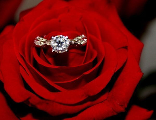 Лицей № 39 Лицей № 39