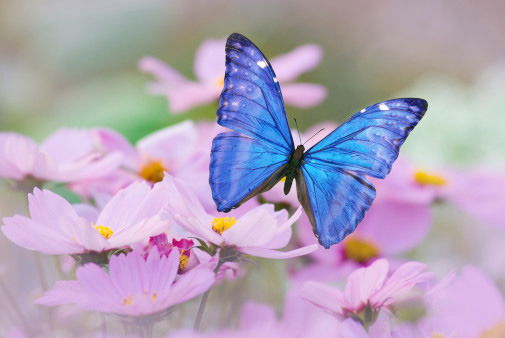 Жанна Габдуллина