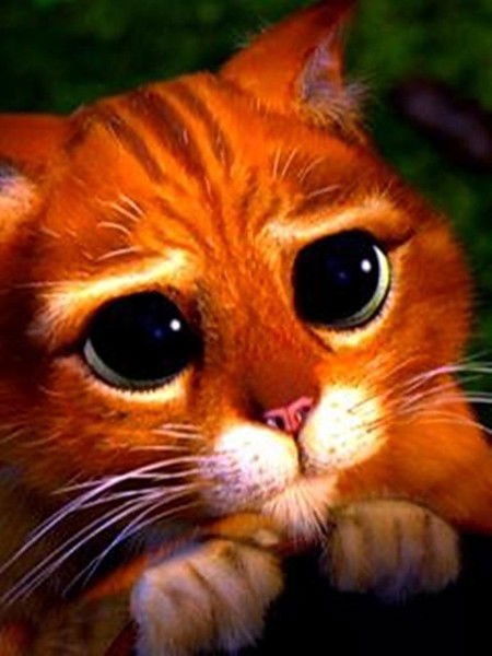 Саша Монахов