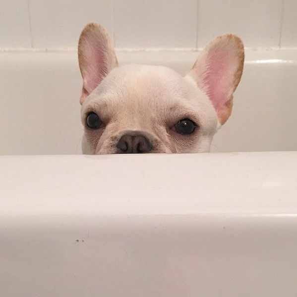 Саша Серебрюхова