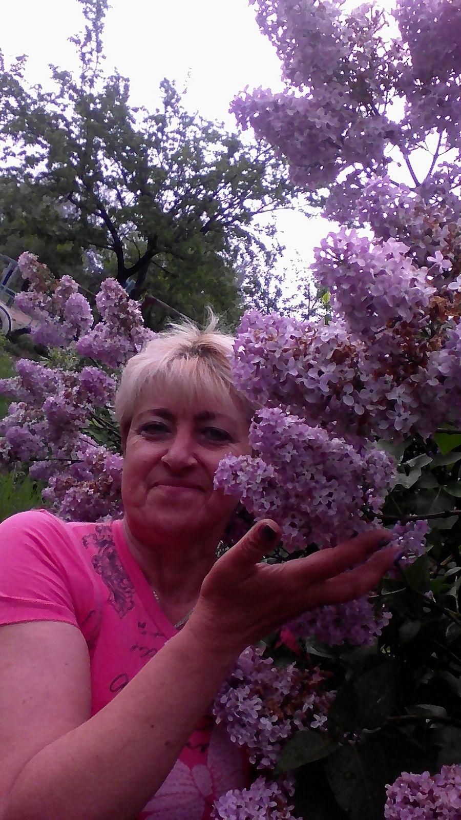 Галина Богомол