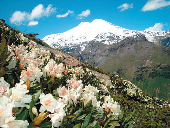 Александр Лошаченко