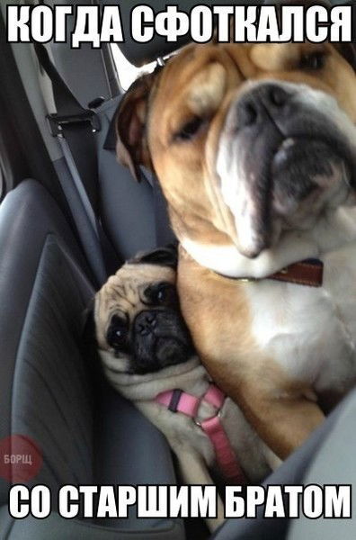 Фирдавс Курбанов