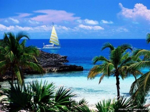 Елена Снежная