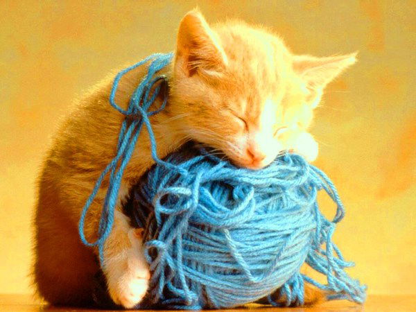 Вера Процко