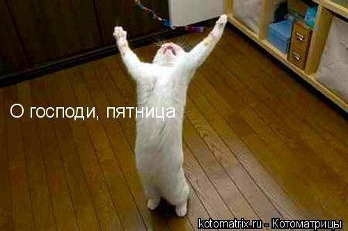 Дидар Карайгиров