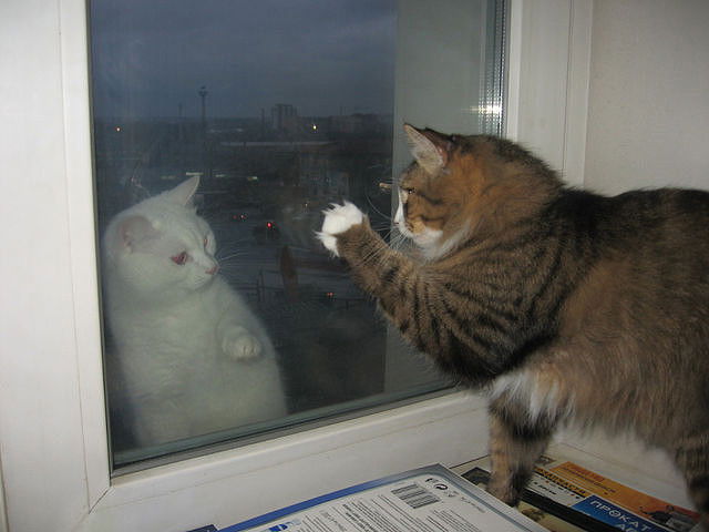 Антон Волков